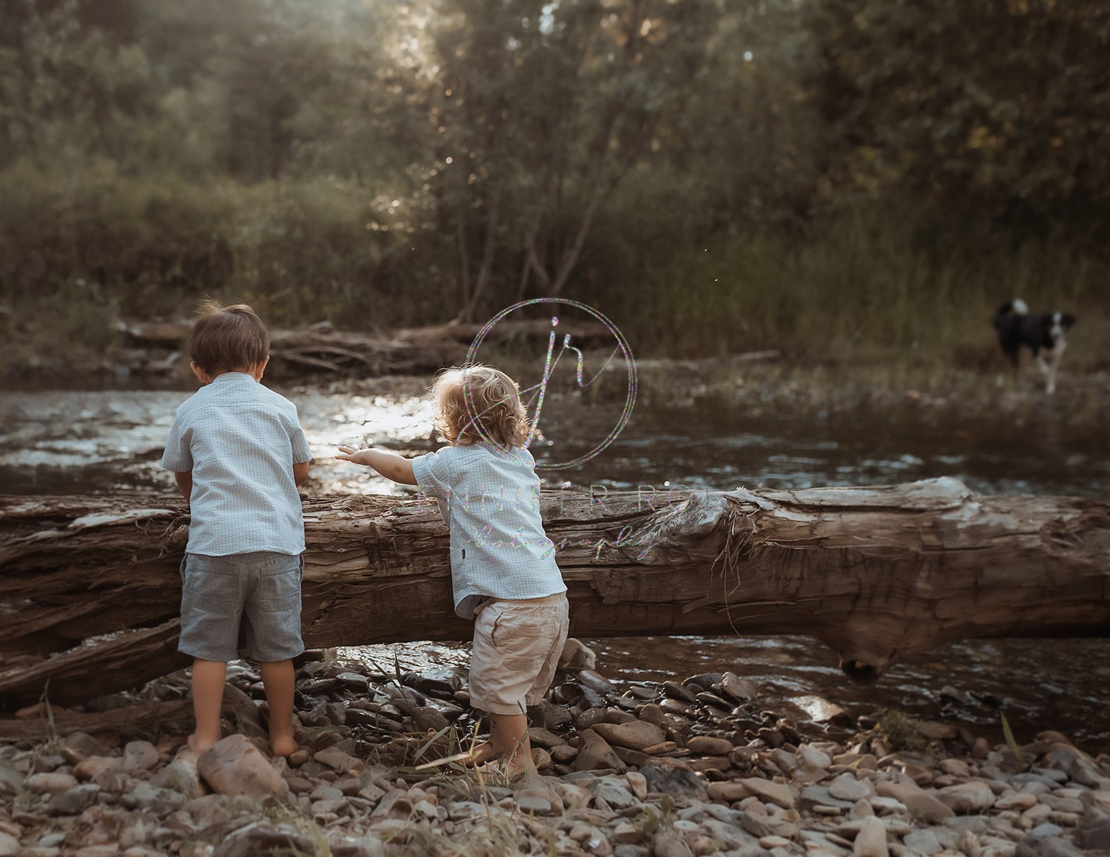 Toddler brothers explore a log on a creek barefoot before visiting Carousel for Missoula