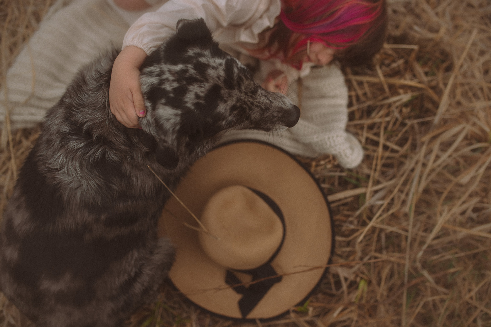 A look down to a young girl in a white dress playing with her brindle coat dog in a pile of hay before visiting River City Roots Festival