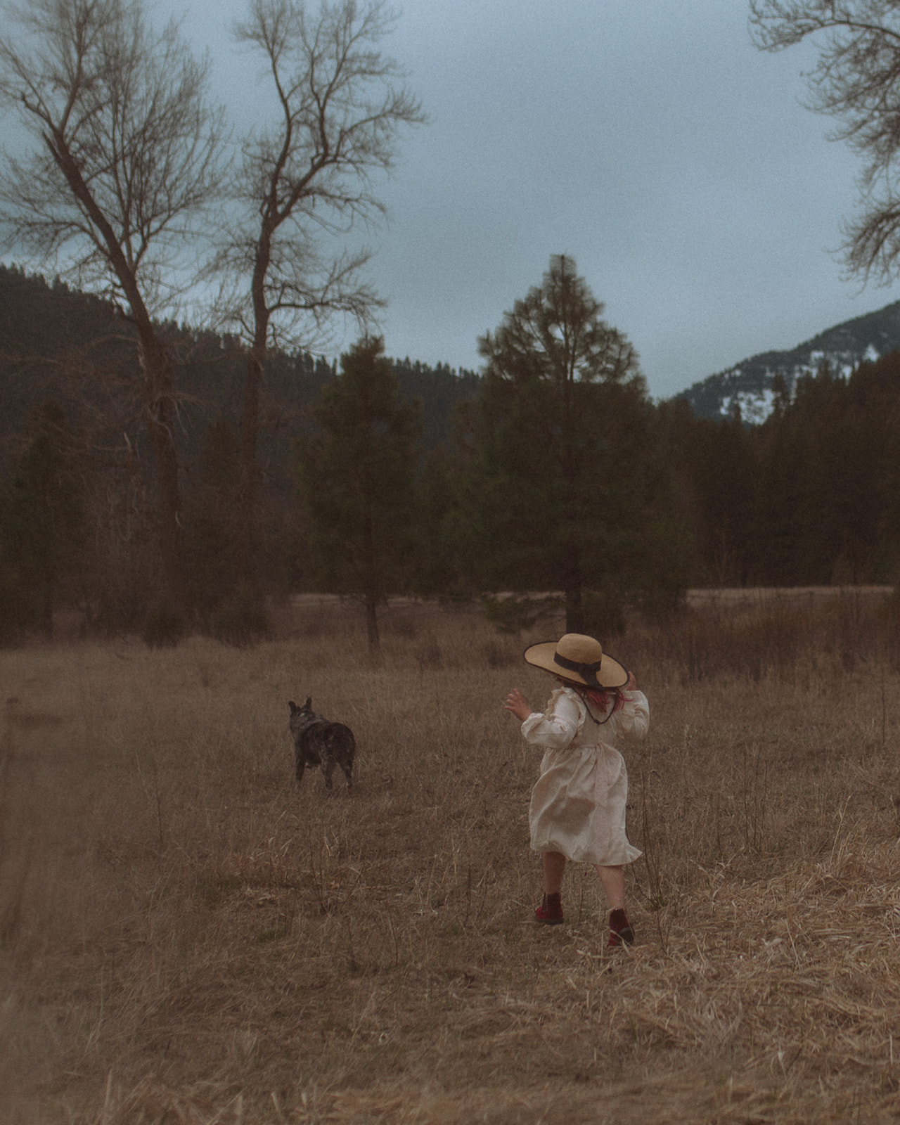 A toddler girl in a white dress and large hat runs behind her dog in a pasture
