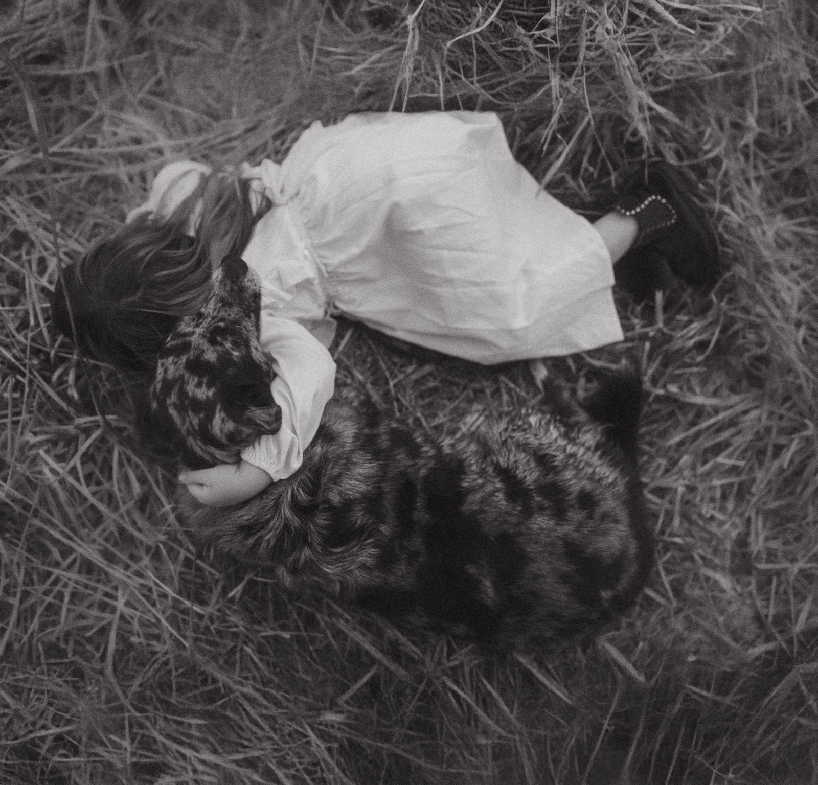 A toddler girl in a dress snuggles a brindle coat dog in some hay in black and white before visiting Western Montana Fair