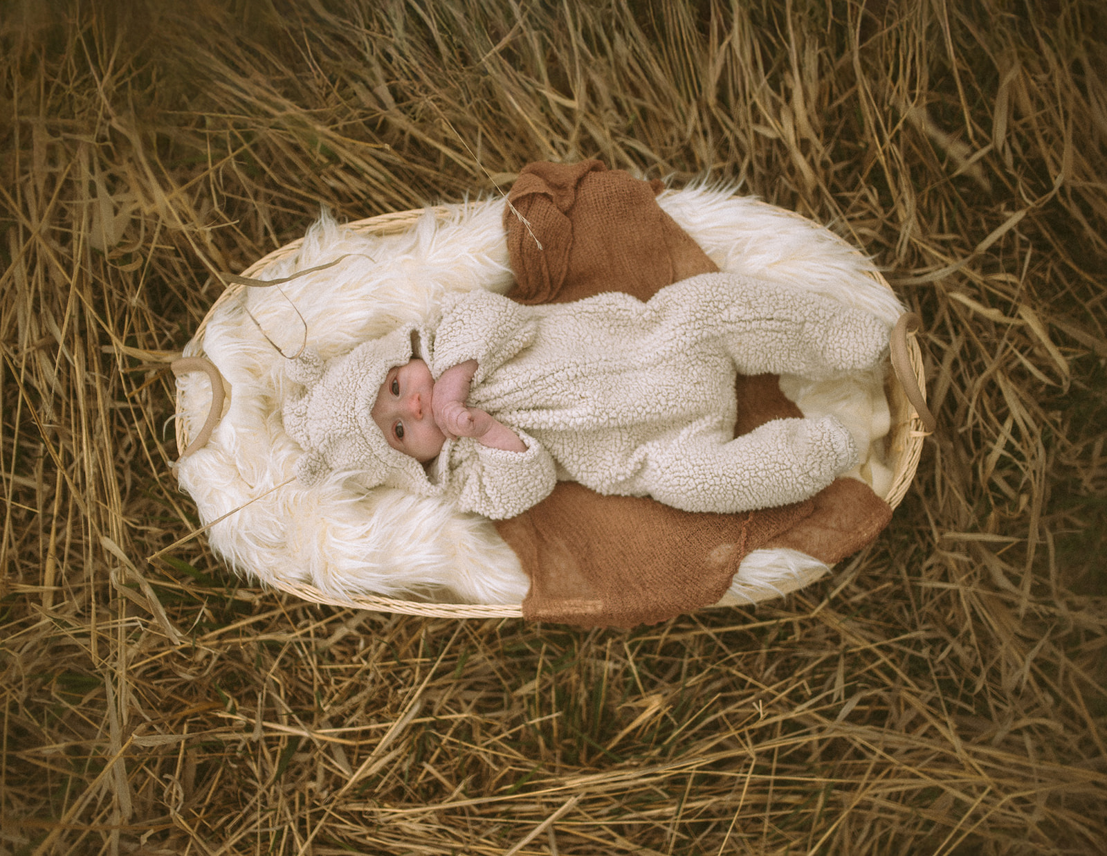 A newborn baby in a cozy white teddy bear onesie lays in a basket in a field of golden grass
