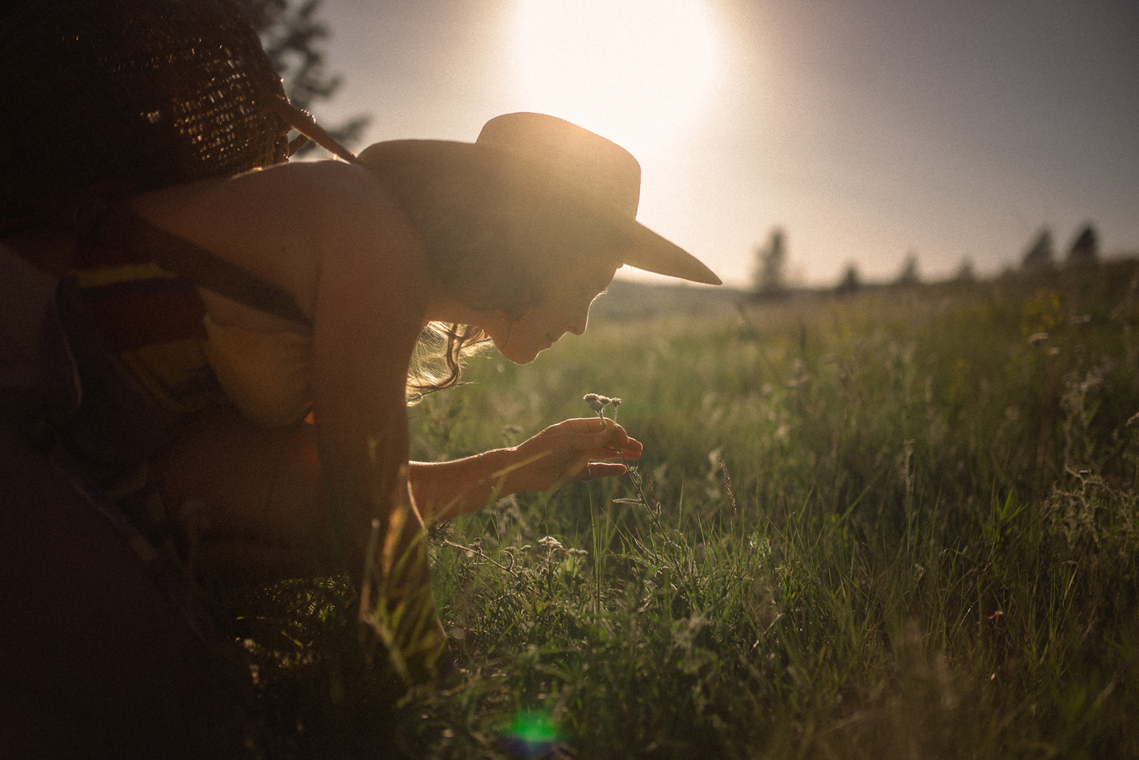 a woman smels a wildflower in silhouette at sunset with a basket on her back and a large brim hat after some parenting classes in Hamilton, MT