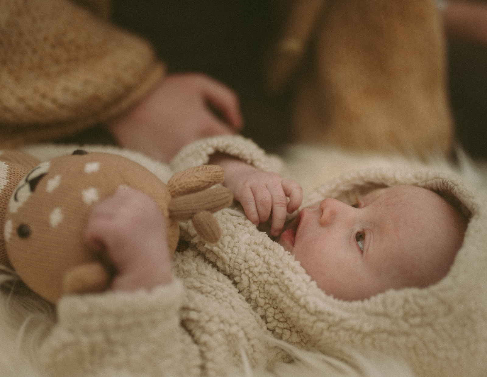 An infant lays in a fleece hoodie below mom holding a brown teddy