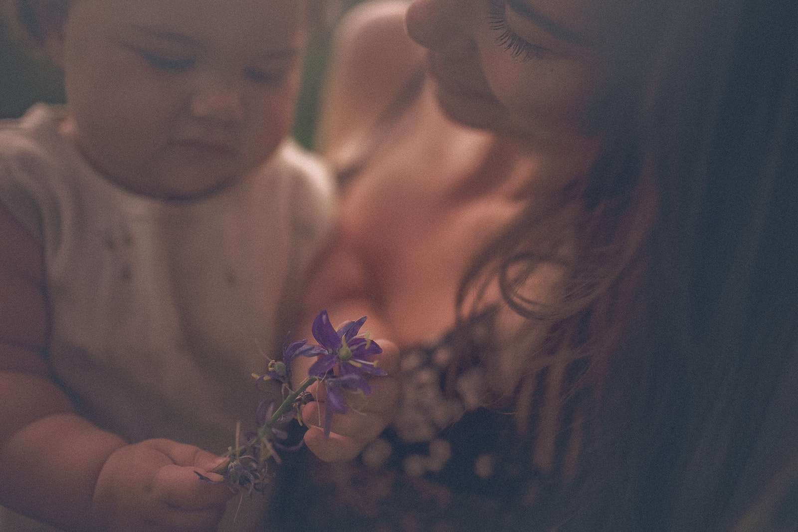 Details of an infant examining a wildflower while sitting in mom's arms after mom had a prenatal massage in Hamilton, MT