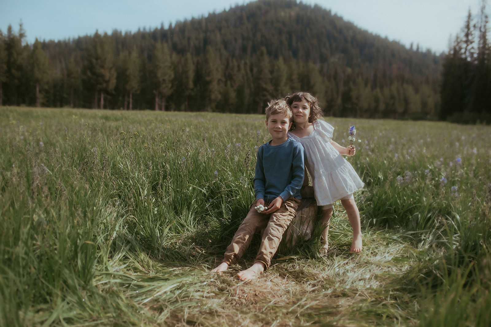 A young boy sits on a stump in a meadow picking wildflowers with little sister in a white dress after visiting preschools in Hamilton, MT