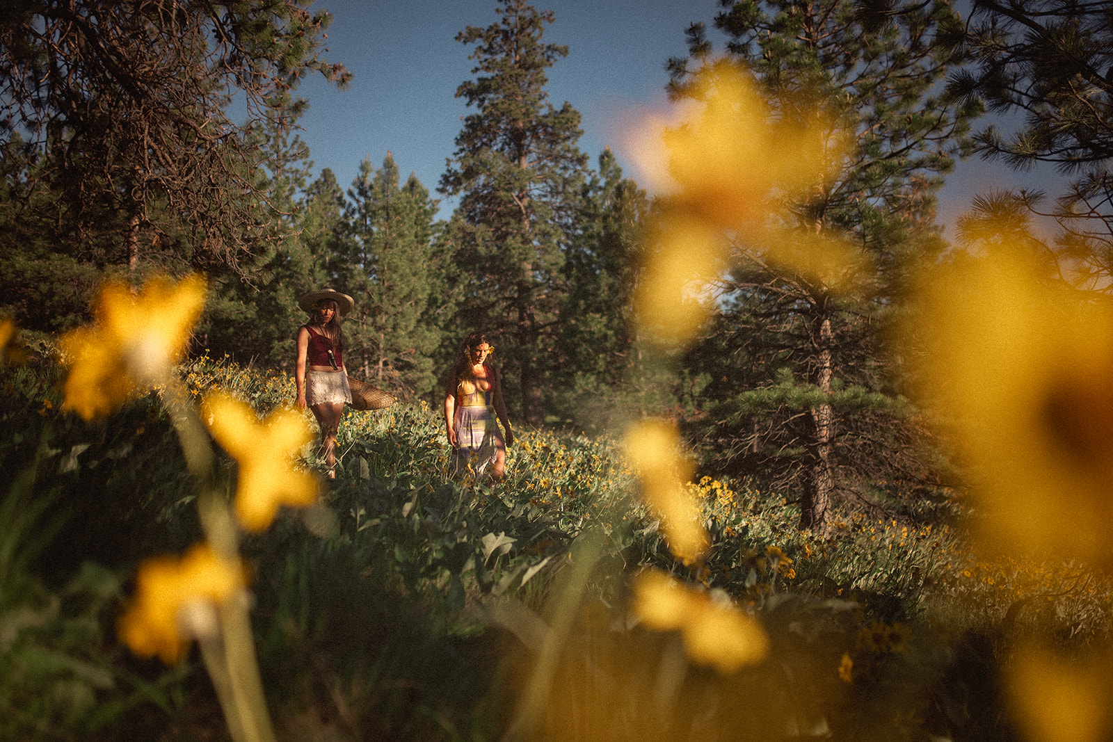 Two women walk through a hillside of wildflowers at sunset with woven baskets after visiting fall festivals in Hamilton, MT