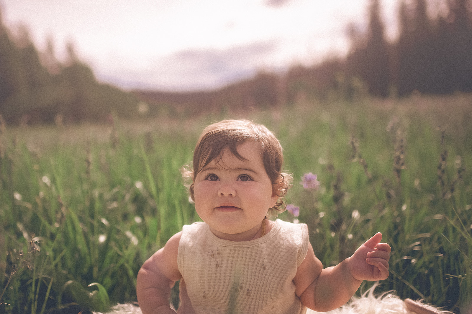 a baby girl sits on a blanket in a field of grass and wildflowers in one of the parks in Hamilton, MT